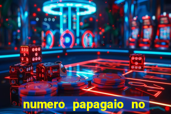 numero papagaio no jogo do bicho